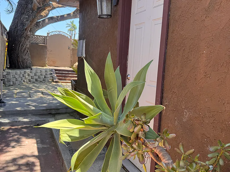1341 E 4th St E — Photo 3