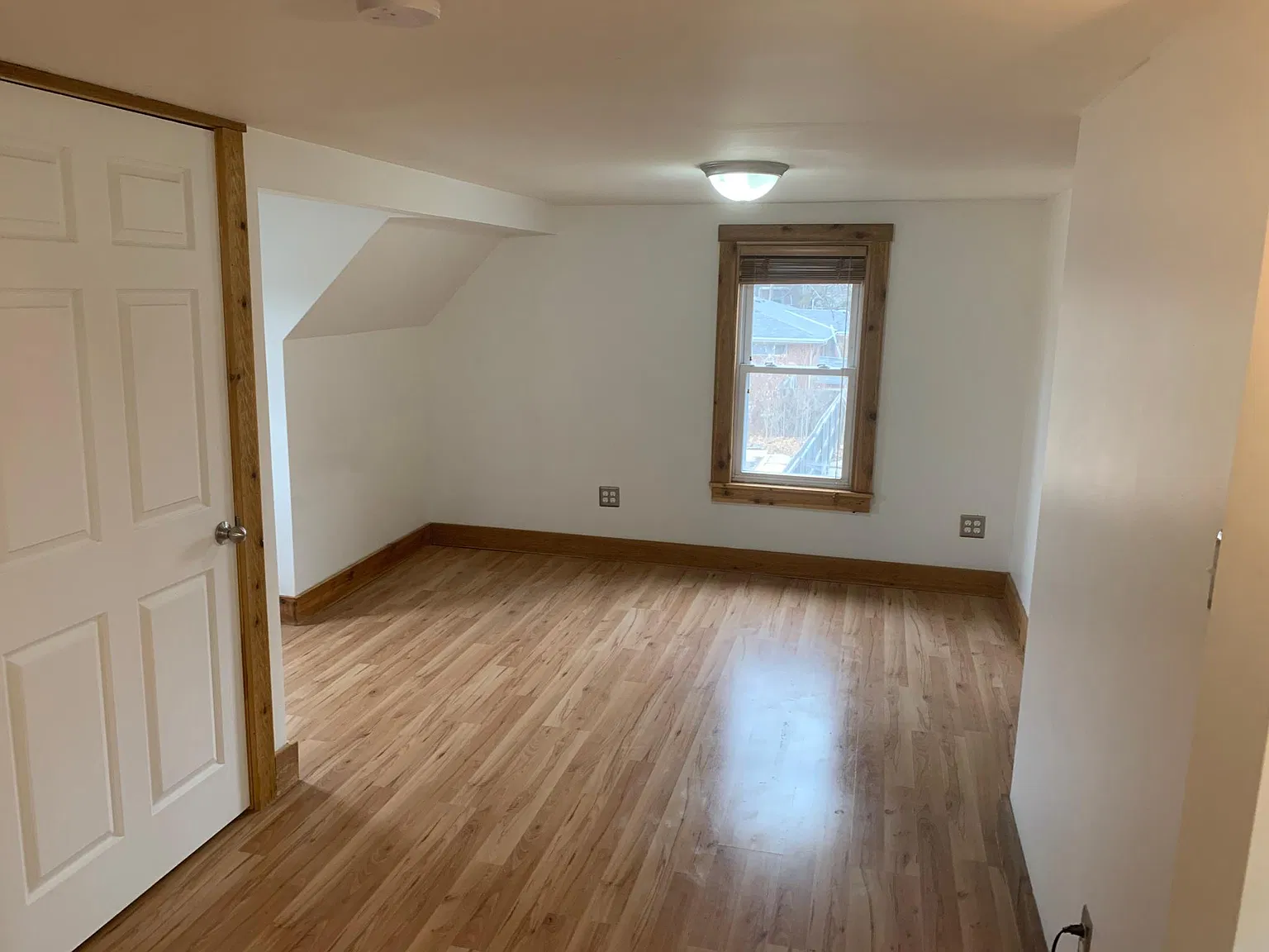 1 bed, 568 sqft, $800 — Photo 4