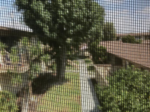 bird's eye view of landscaping
