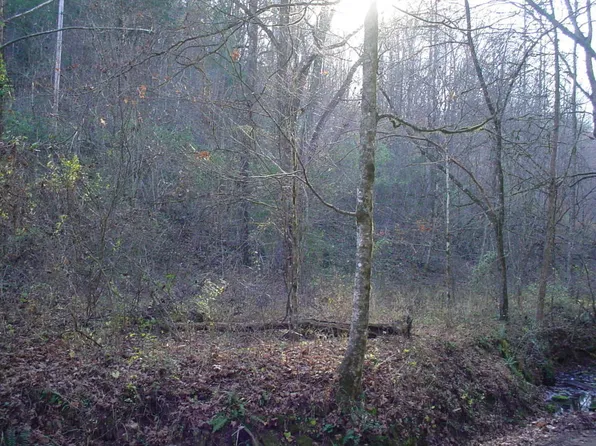 Flat Hollow Rd, Speedwell, TN 37870