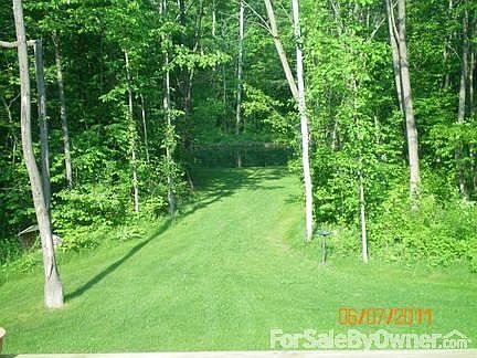 this is your view from the back deck