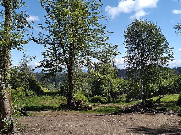 Level lower part of property