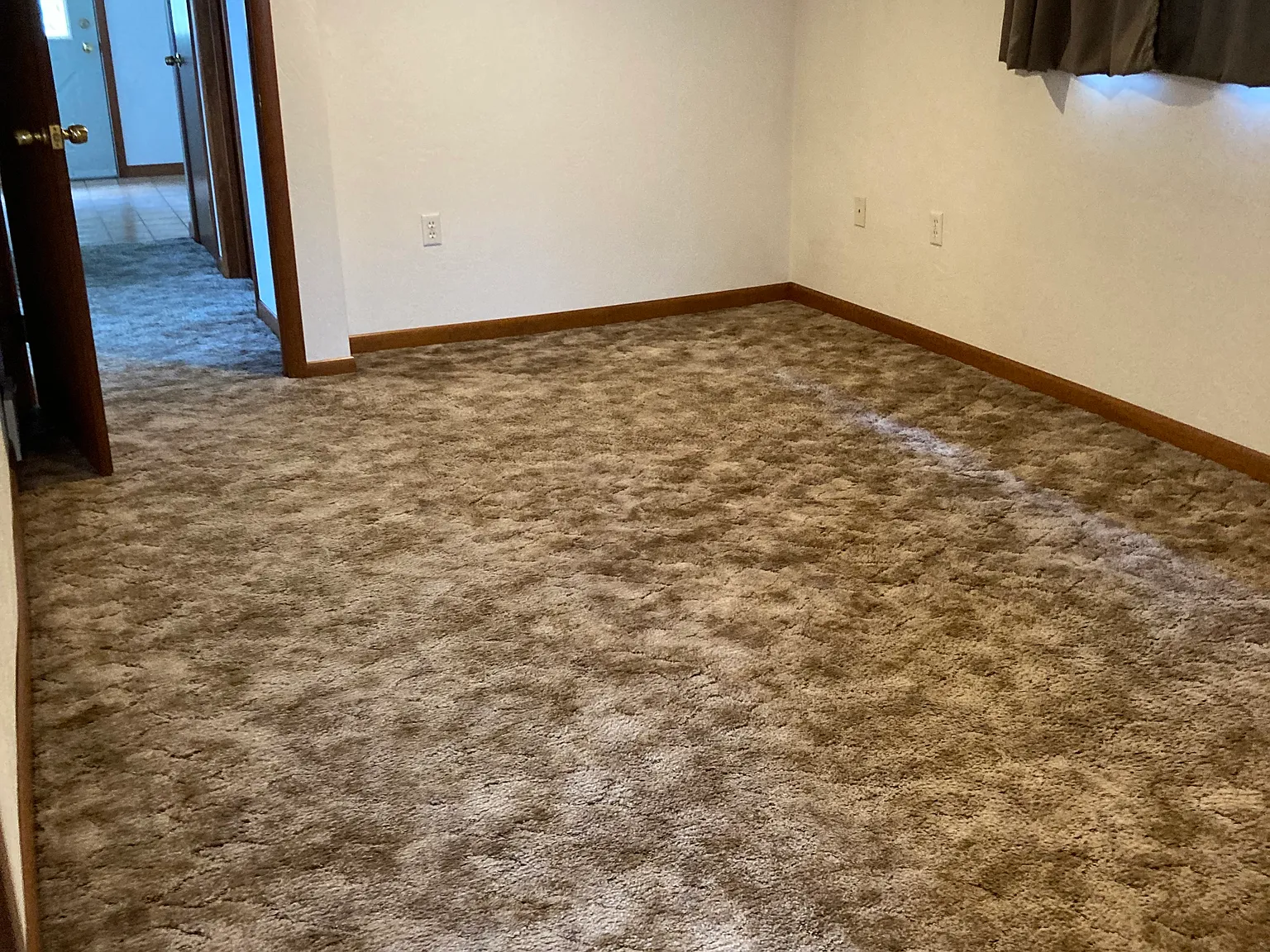 142 Obryan Rd — Photo 4