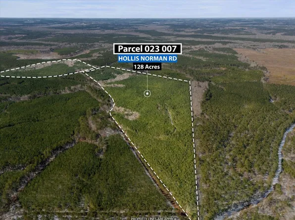 0 Hollis Norman & Callaway Rd., Washington, GA 30673