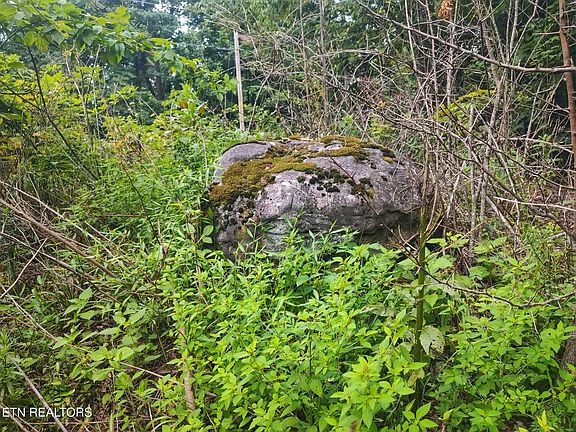 5th image of Raccoon Ridge Rd