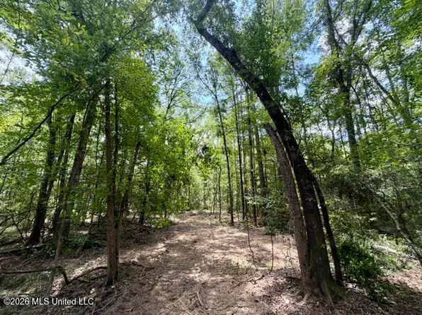 Lee Dr SE, Bogue Chitto, MS 39629