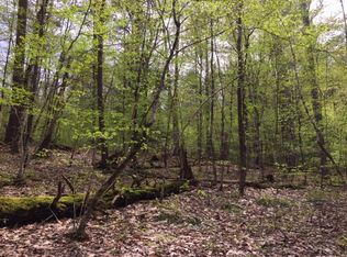 North Rd, Blenheim, NY 12131