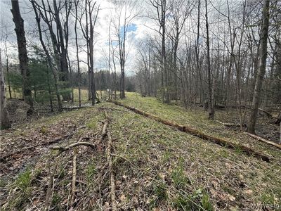 8314 Zimmerman Rd Lot 6, Boston, NY, 14025