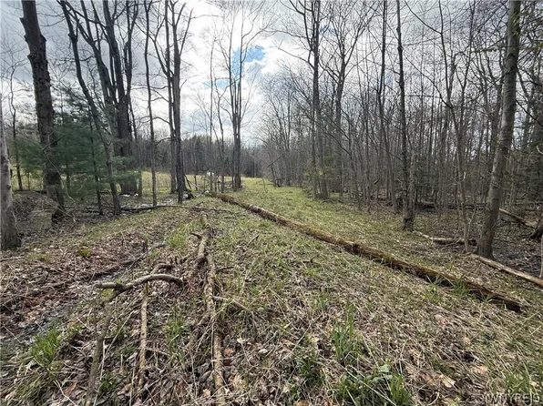 8314 Zimmerman Rd Lot 6, Boston, NY 14025