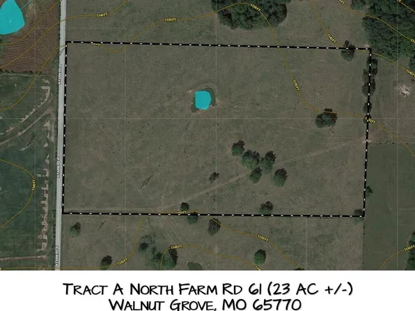 Tract A N Farm Road 61, Walnut Grove, MO 65770