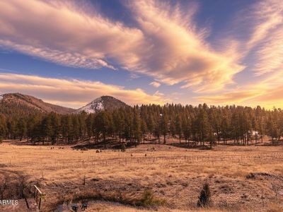 Country Rd #2276-2, Nutrioso, AZ, 85932