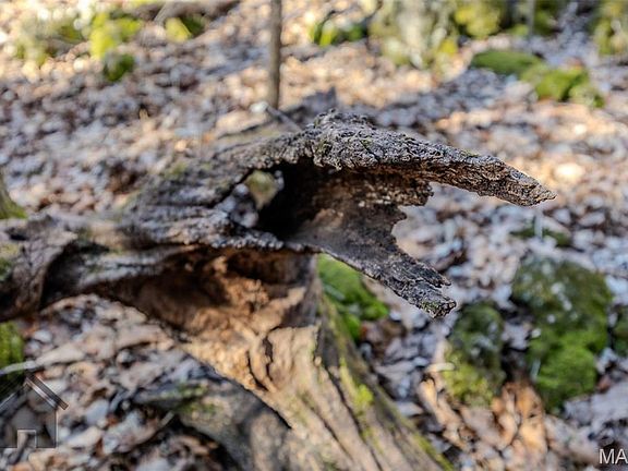 5th image of Possibly Compass Rd