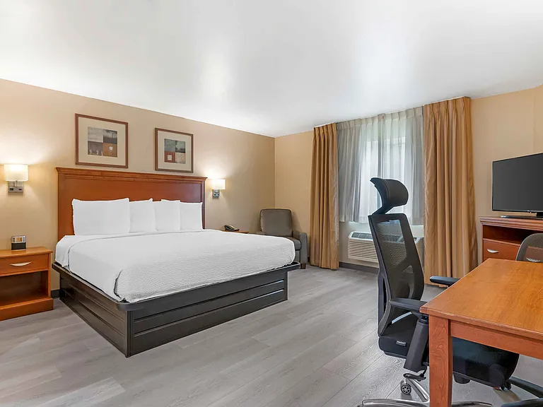 Studio Suite - 1 King Bed