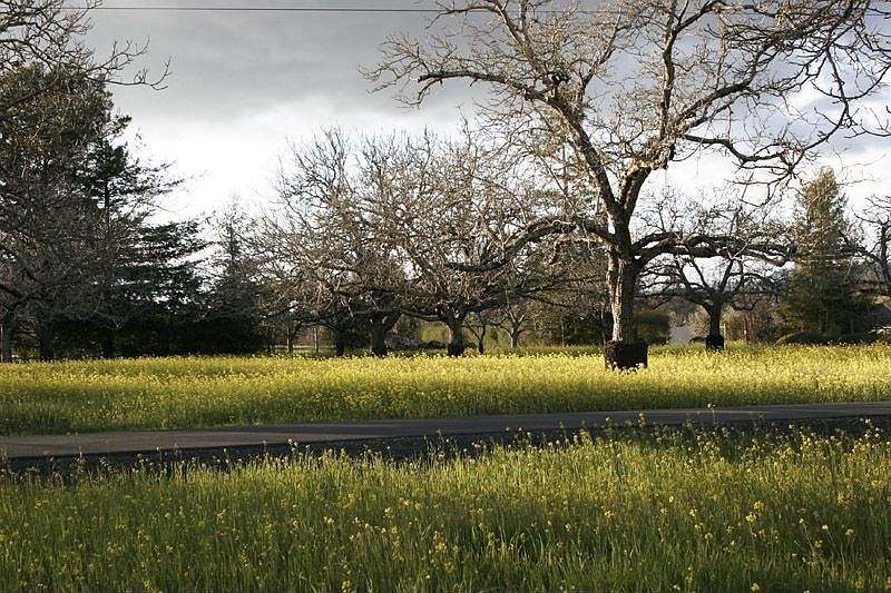 2nd image of 8053 Sonoma Hwy