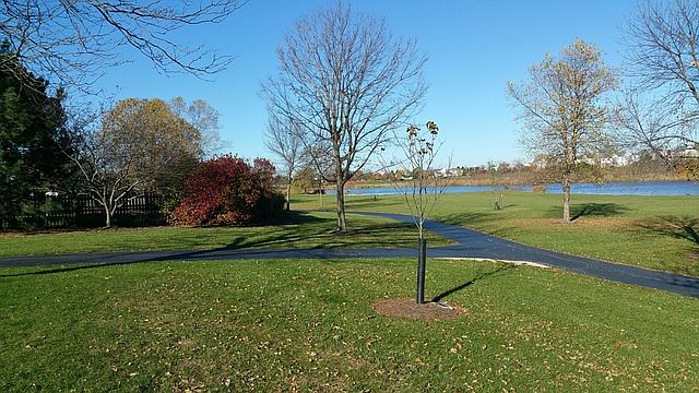 2nd image of 646 Birchwood Dr