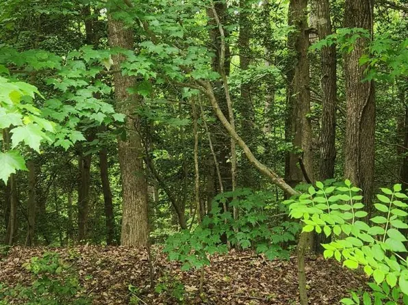 68 Traveller Cir, Montross, VA 22520