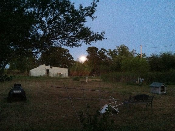 Looking @ Moon rise (E)