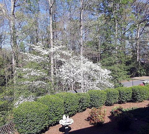 View from front porch