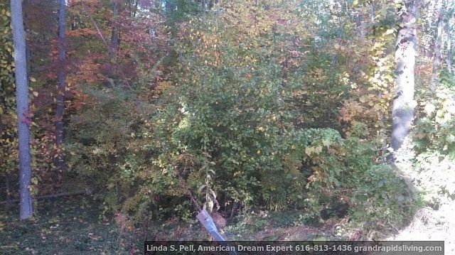 2nd image of 2737 Pioneer Club Rd SE
