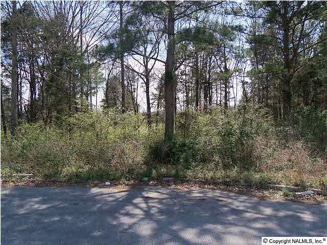 2nd image of Nichols Creek Ln