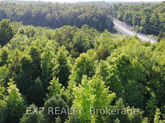 2nd image of 2822 Shannon Rd