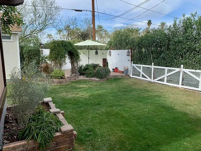 View from covered back patio area of large backyard!