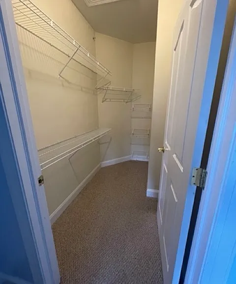 Primary Walk-In Closet