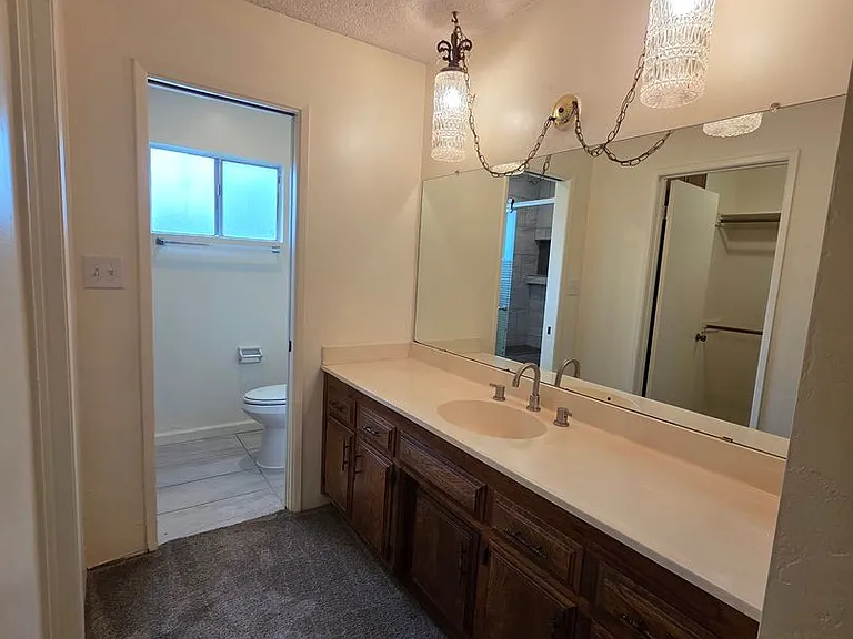 3824 Christmas Tree Ln — Photo 10