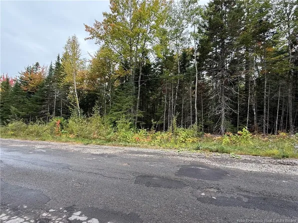 LOT Nickerson Point Rd, Wickham, NB E4C 6C2