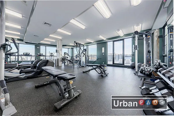 Rented by Urban Pads | media 22