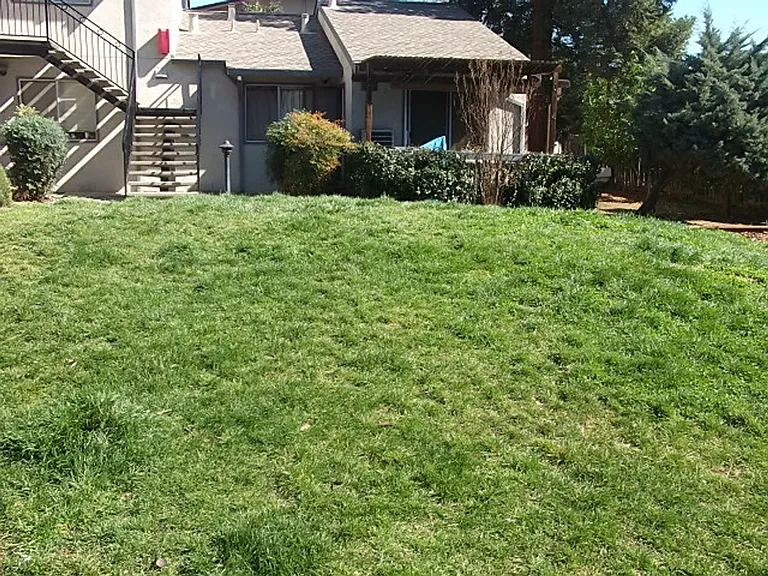 3036 Willow Pass Rd — Photo 14