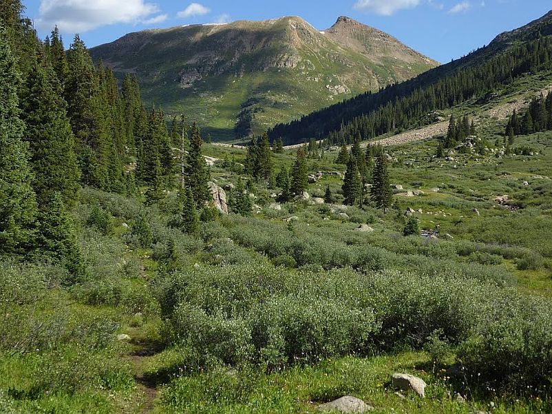 1st image of 38 Acres Beautiful Land Near Twin Lks