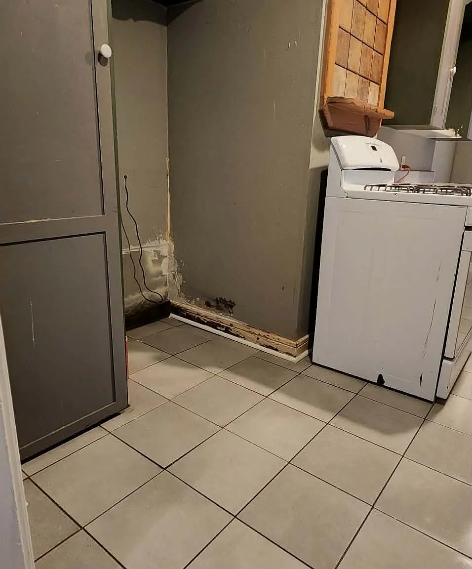 3 bed, 1500 sqft, $1,495 — Photo 4