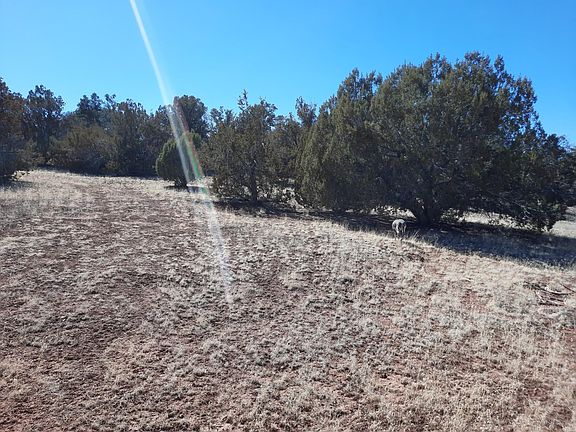 2nd image of 31883 W Bocina Ln