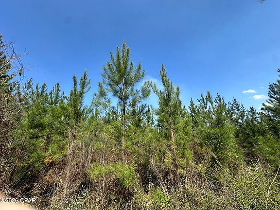 5th image of TRACT 6336 Sand Path Rd