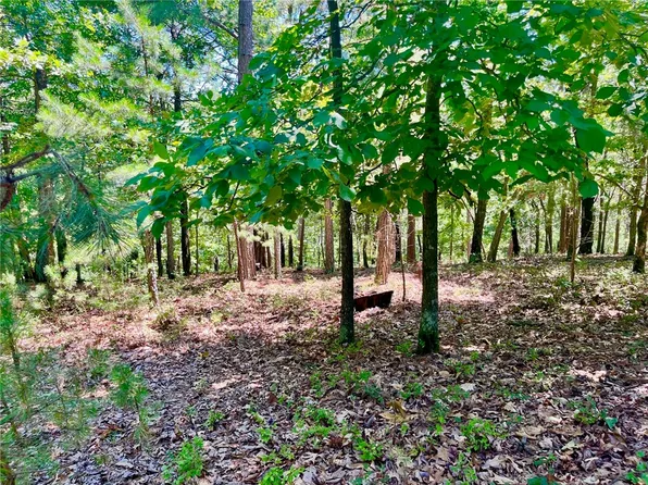 925-01748-000 Harvey Rd #11, Eureka Springs, AR 72632