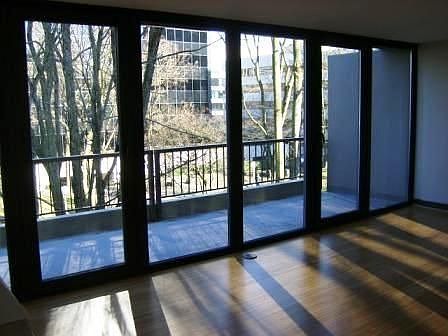 Windows over Pettygrove Park