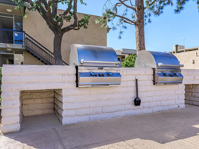 Regency Plaza Apartment Homes — Photo 17