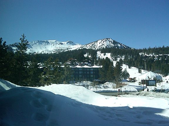 Winter View