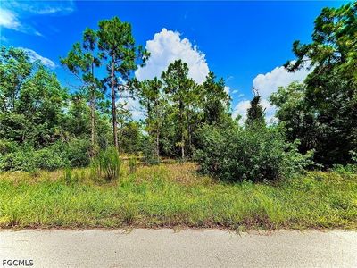 351 Mangonia Ave, Lehigh Acres, FL, 33974