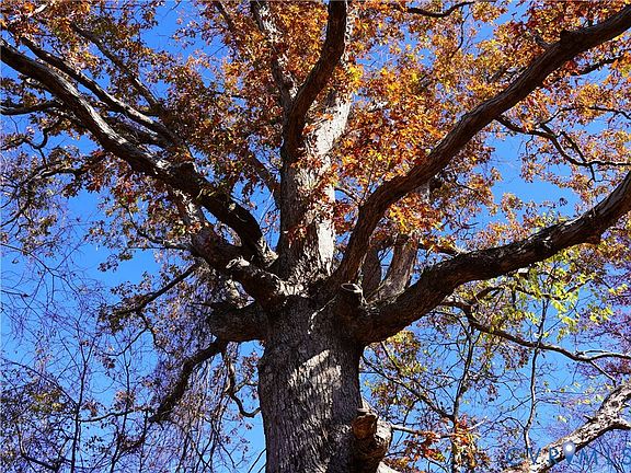 2nd image of 2579 Red Lane Rd