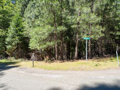 0 Wildberry Dr, Grizzly Flats, CA, 95636