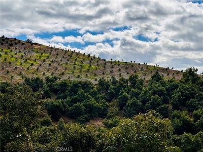 39725 Jones Rd, Fallbrook, CA, 92028