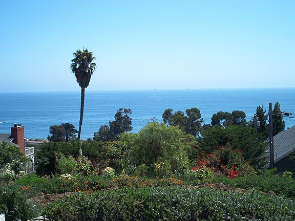 backyard View 1