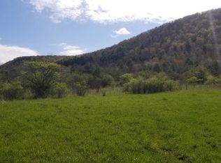 0 Doane Rd, Beaver Dams, NY 14812