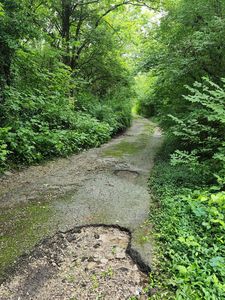 2828 Athens Boonesboro Rd, Winchester, KY, 40391