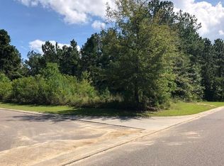 232 Summer Breeze Way, Moncks Corner, SC 29461