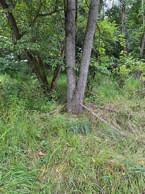 1st image of 550 Cove Rd