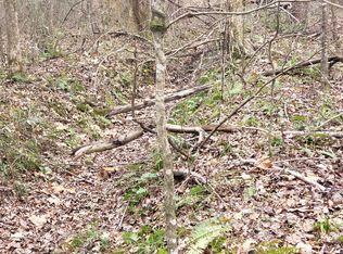 0 Liberty Rd S, Scotts Hill, TN 38374