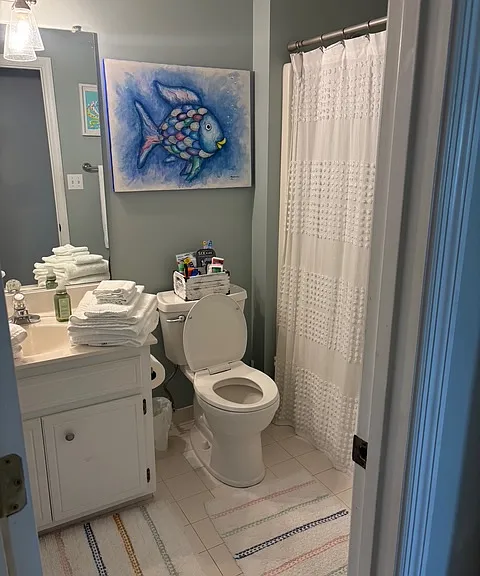 Guest bathroom